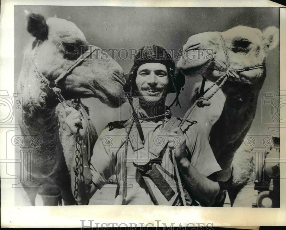 1943 Press Photo The British flier with the two reliable camels - Historic Images