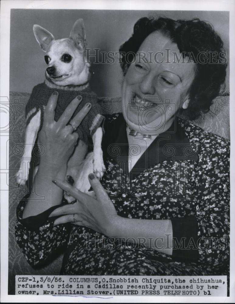 1956 Press Photo Lillian Stover With Chiquita the Chihuahua - Historic Images