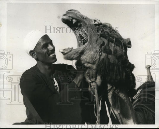 1939 Press Photo Pyramid camel boy Mohammed Ismail and its smiling camel - Historic Images