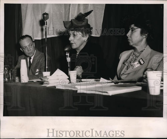 1947 Press Photo Convention of American National Red Cross - Historic Images