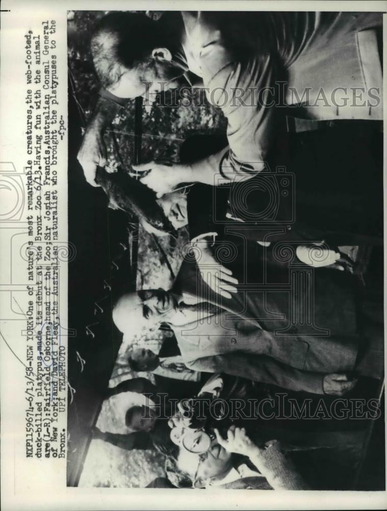 1958 Press Photo Fairfield Osborne, Josiah Francis and David Fleay - Historic Images