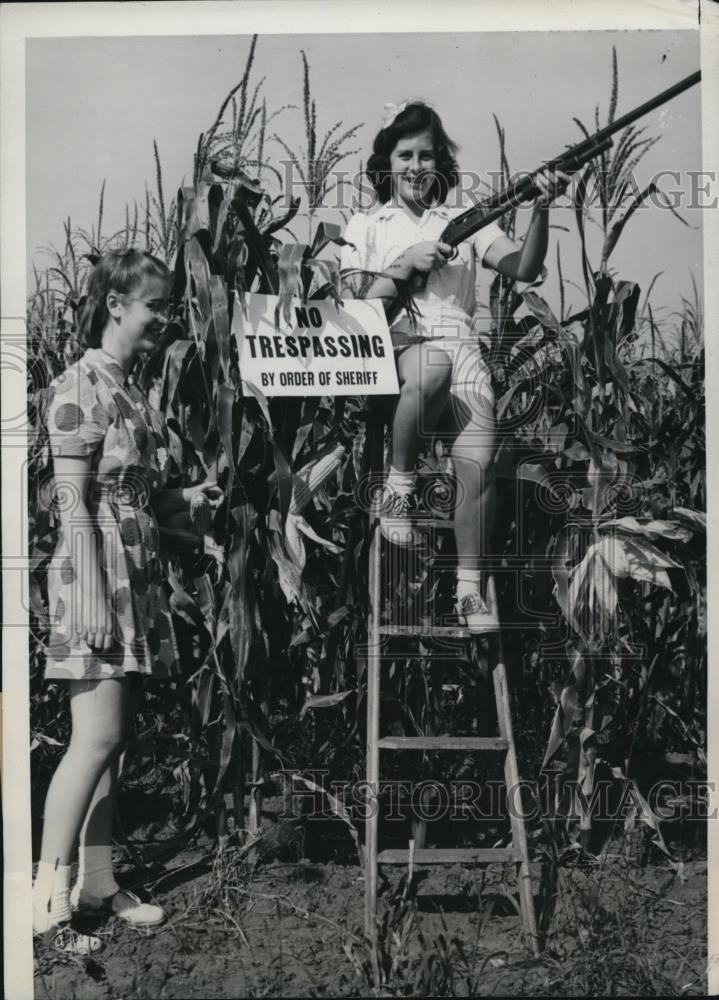 1940 Press Photo Patricia Jansen & Barbara Shaw guard field of hybrid corn - Historic Images