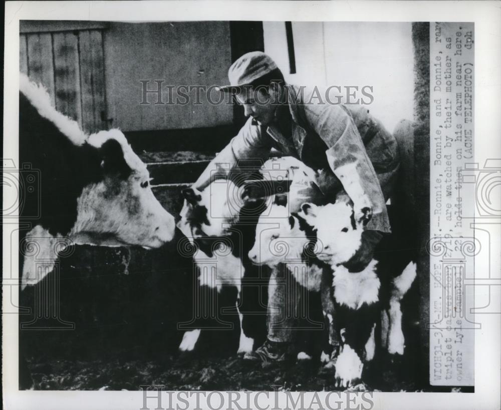 1950 Press Photo Triplet calves Ronnie, Bonnie &amp; Donnie, mother &amp; Lyle Campbell - Historic Images