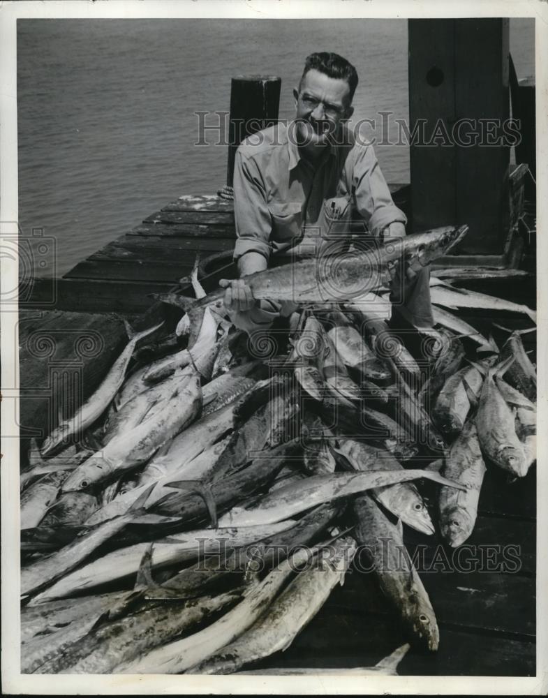 1941 Press Photo St Petersburg Fla Kingfish are racing through St Petersburg Bay - Historic Images