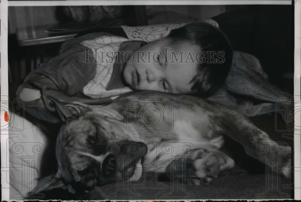 1955 Press Photo Blind 2 Year Old Russell Deming & Pet Boxer Dog "Buddy" - Historic Images