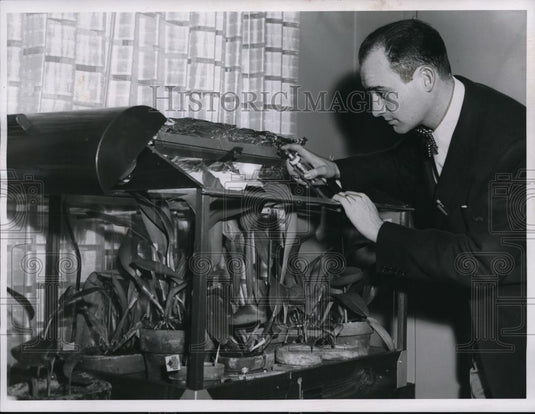 1956 Press Photo Mr Harlan F Sherman - Historic Images
