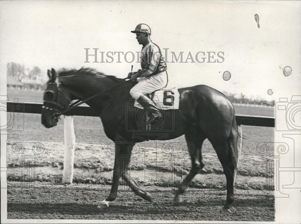 1932 Press Photo Brandon Mint candidate for forthcoming Kentucky Derby - Historic Images