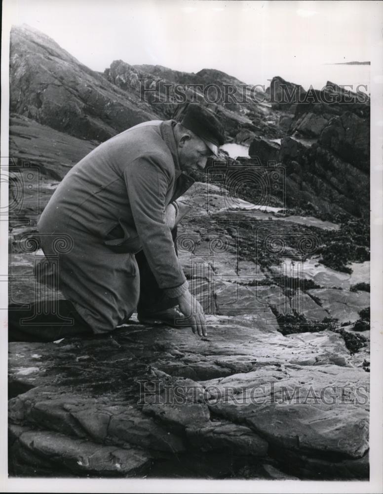 1961 Press Photo Terry Ferguson inspects a hollowed out rock - Historic Images
