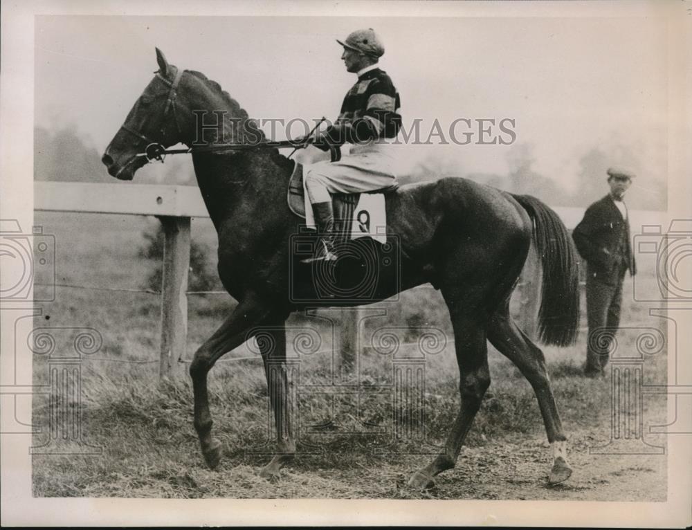 1936 Press Photo Medicant Friar, candidate for the English Derby at Epson Downs - Historic Images