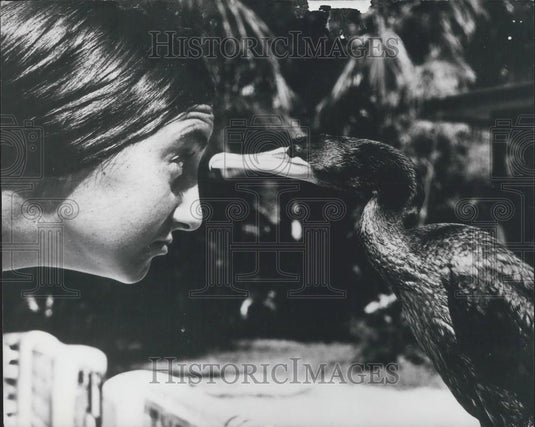 Press Photo Laura Singer Miami Friend Cormorant - Historic Images