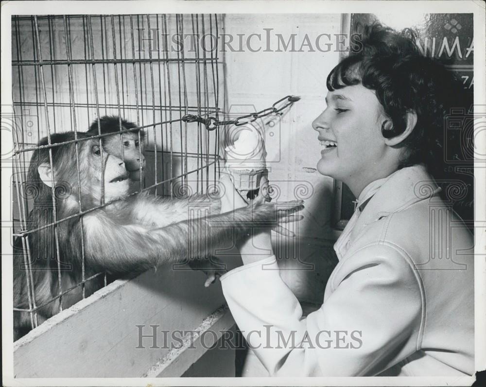 Press Photo 2 Caged Monkeys Grab at Woman&#39;s Vanilla Ice Cream Cone - Historic Images