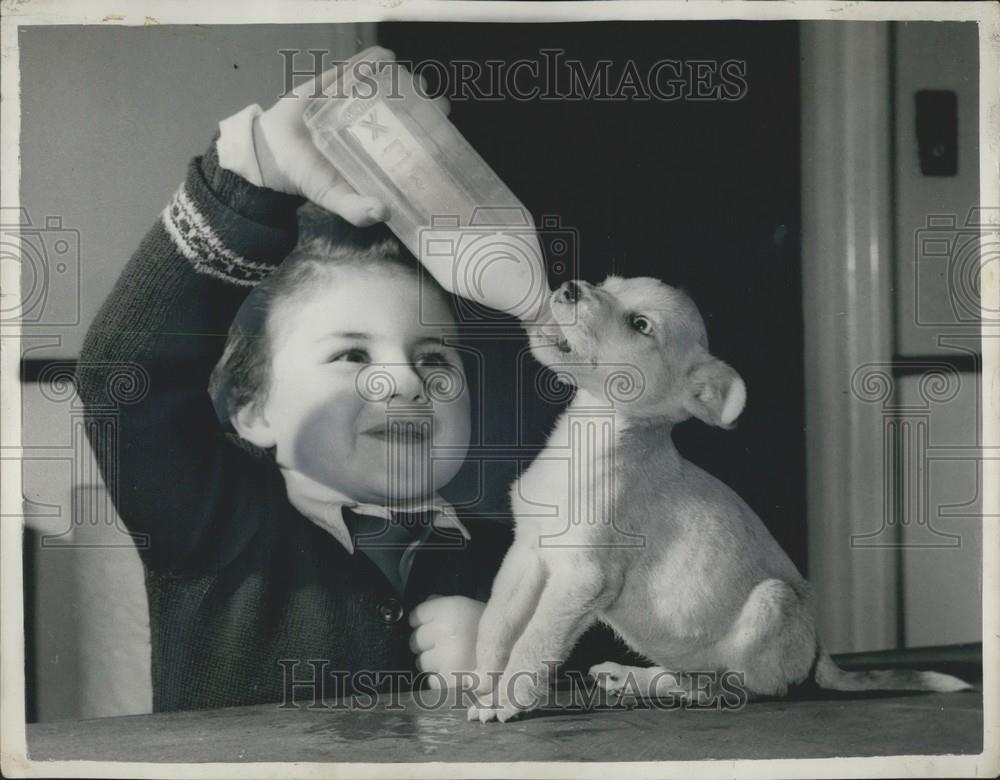 1957 Press Photo Mary Stewart, Puppy - Historic Images