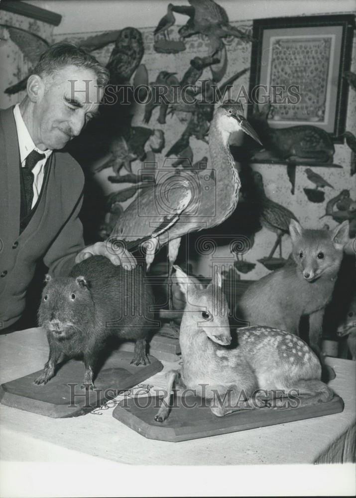 Press Photo Georg Wuerstle &amp; his taxidermied animals - Historic Images