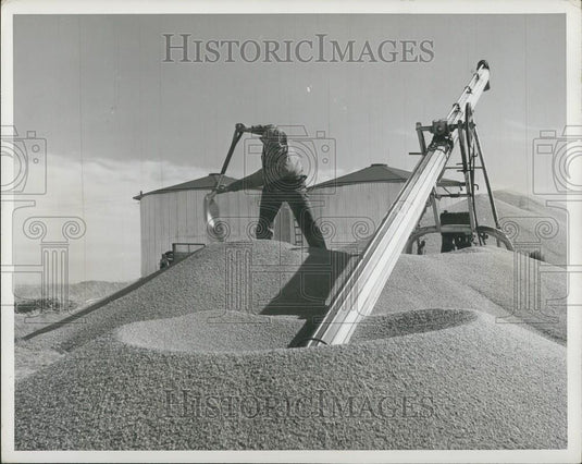 Press Photo Navy Veteran Operates Automatic Grain Loader Co-Op Farm Canada - Historic Images