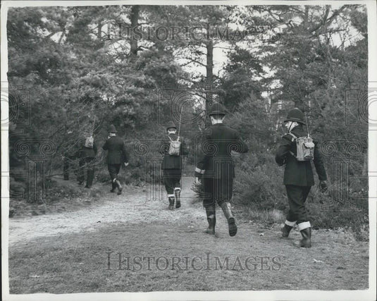 1964 Press Photo Surrey Wolf-Hunt Ends in Death for Felicity - Historic Images