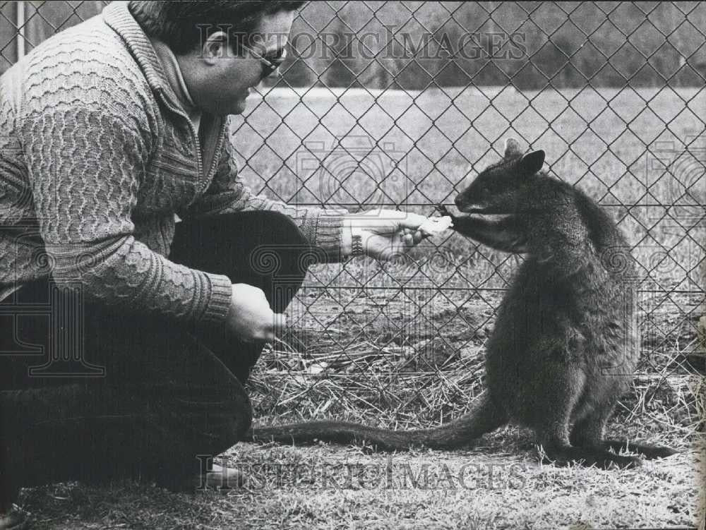 Press Photo Animal Breeder Rudolf Meuckler, Borken, West Germany - Historic Images