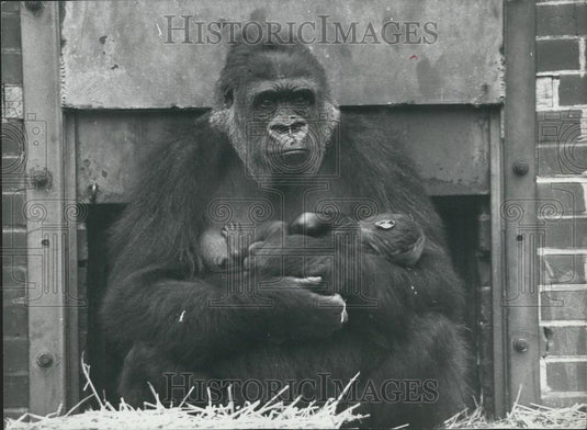 Press Photo Wife of Kisoro Nurses Latest Baby Kibabu - Historic Images