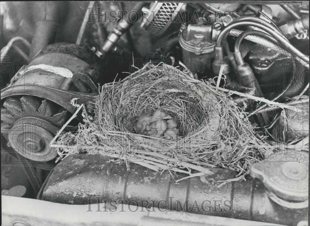 1975 Press Photo Thrushes Nest Engine Ford Transit Van SWEB Transport Torquay - Historic Images