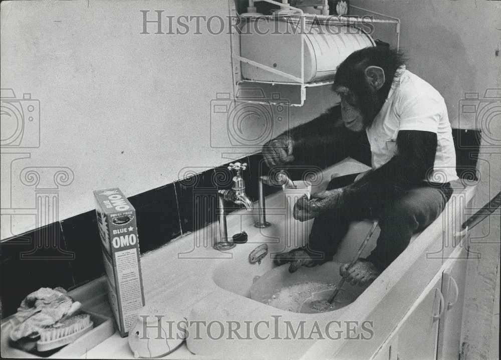 1967 Press Photo Linda Washing The Dishes - Historic Images