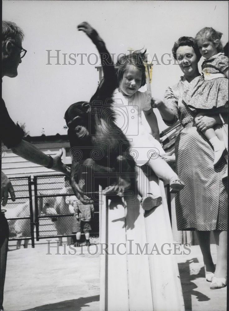 Press Photo Young Girl With Chimpanzee On Slide - Historic Images