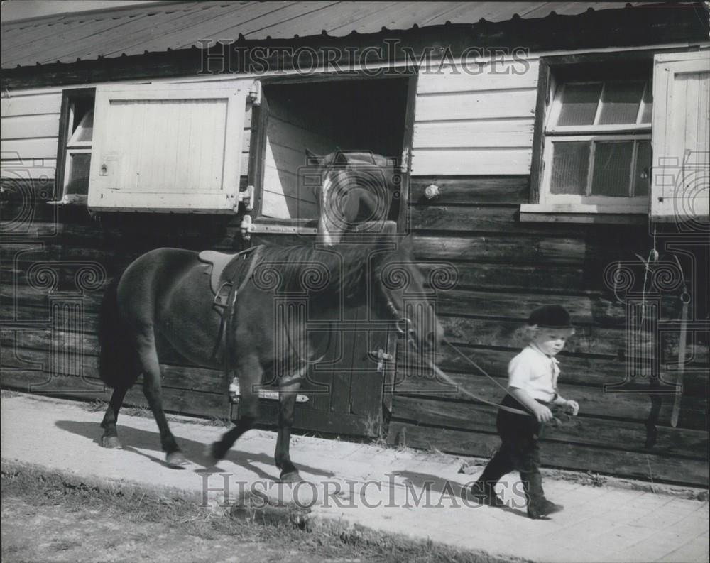 Press Photo Martin Brierley and his horse Dot getting ready for a lesson - Historic Images