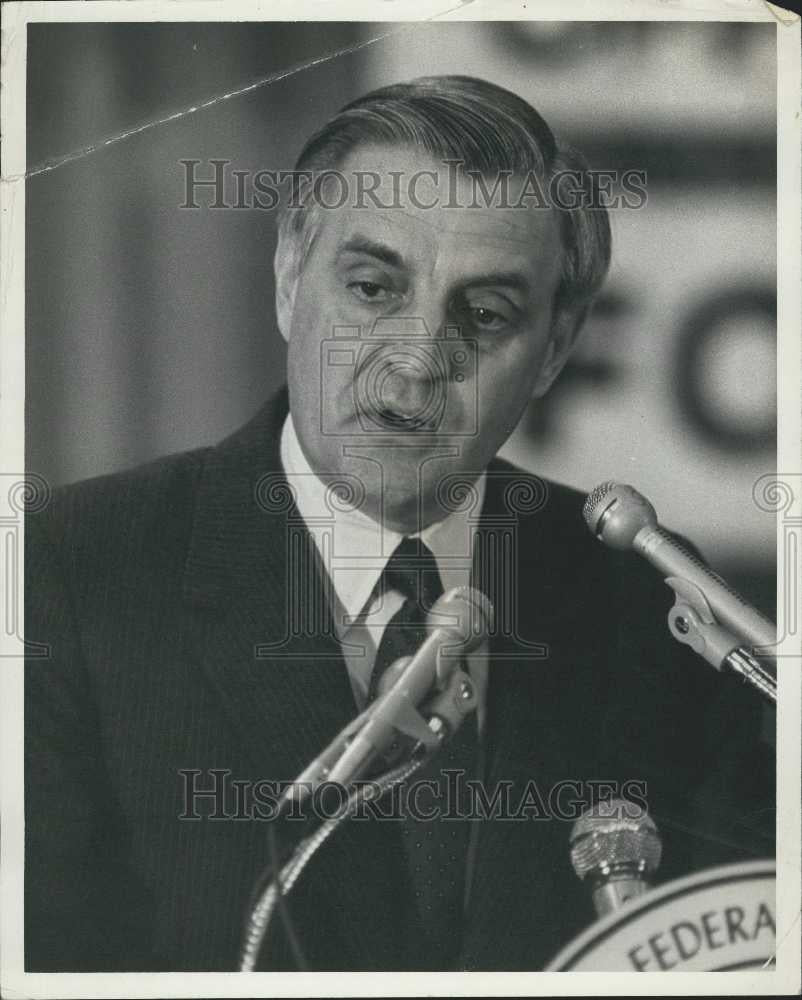 1984 Press Photo Walter Mondale, Campaigning For the democratic Nomination - Historic Images