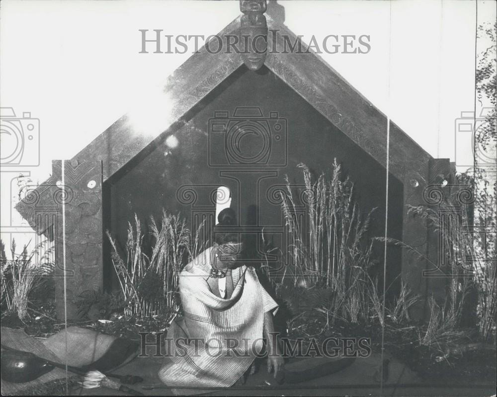 1979 Press Photo Captain James Cook was killed South Seas exhibition - Historic Images