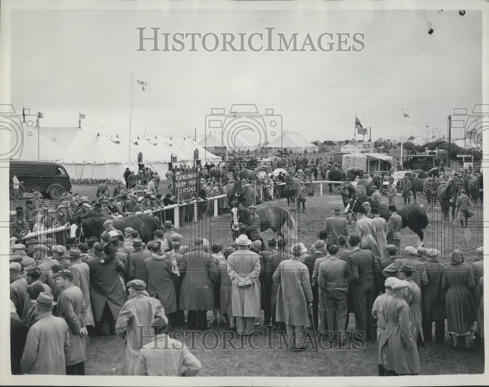 1953 Press Photo Royal Horse Show at Blackpool - Historic Images