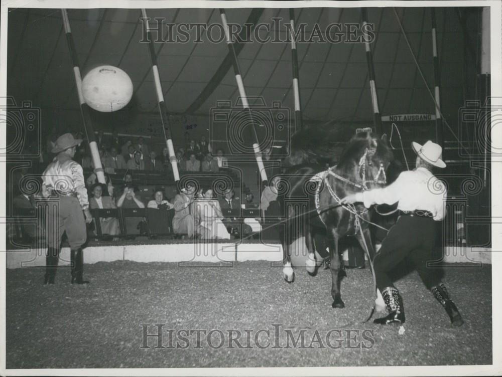 Press Photo &quot;Suez&quot; Horse in Circus Busch in Munich Performs - Historic Images