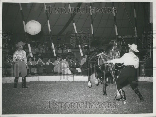 Press Photo "Suez" Horse in Circus Busch in Munich Performs - Historic Images