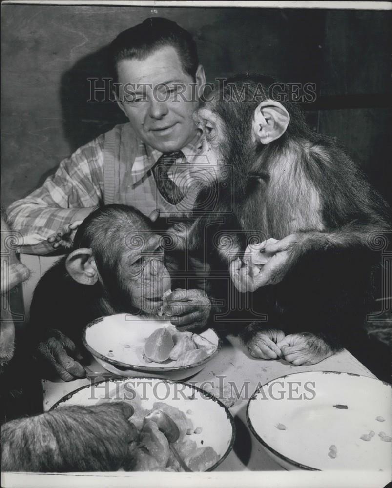 Press Photo Alfred Smith, trainer  and chimps at mealtime - Historic Images
