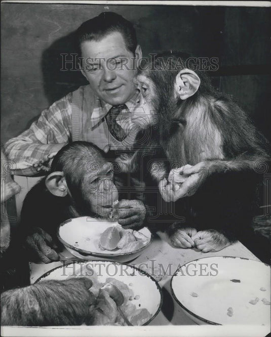 Press Photo Alfred Smith, trainer  and chimps at mealtime - Historic Images