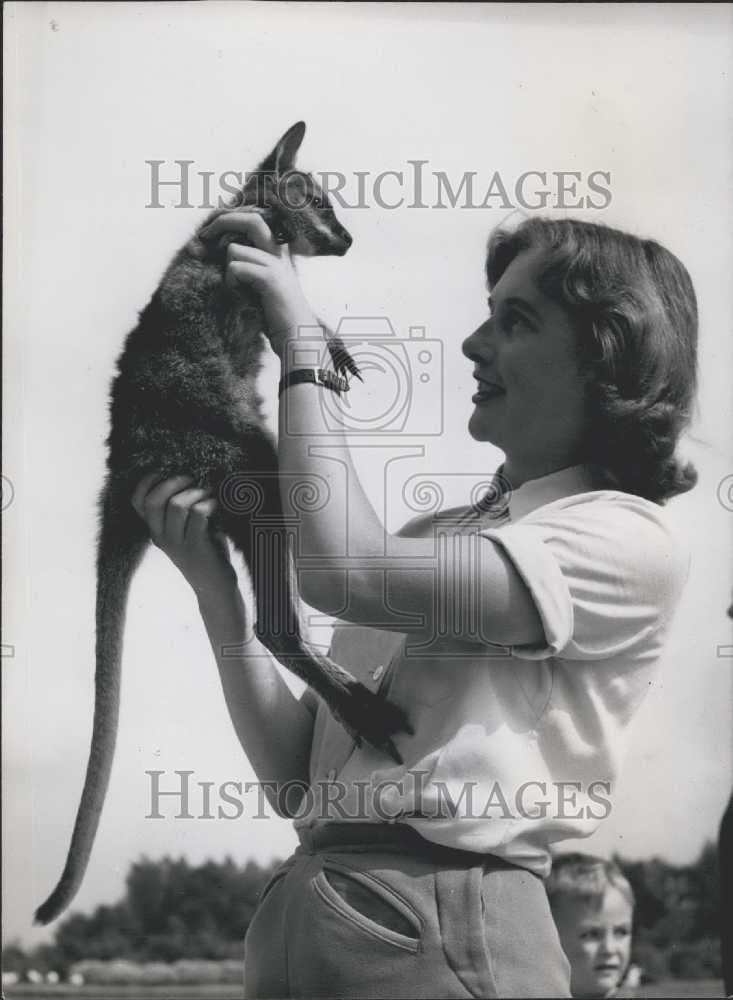 Press Photo Gillian Impey with Little Penny the Wallaby - Historic Images