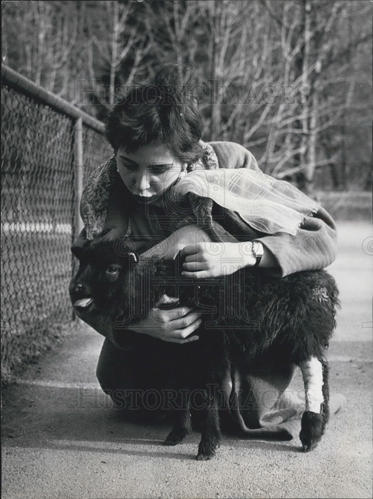 1956 Press Photo Munich Zoo a young girl and a baby animal - Historic Images