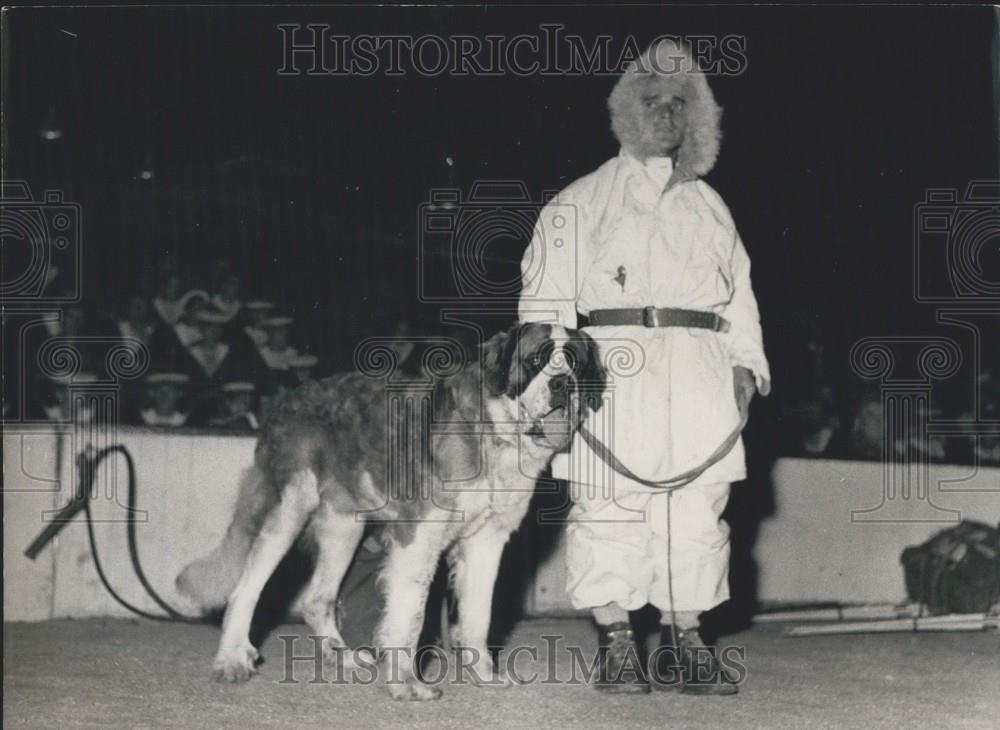 1953 Press Photo Chasseur Alpin, St Bernard, Palais des Sports, Paris, Army Show - Historic Images