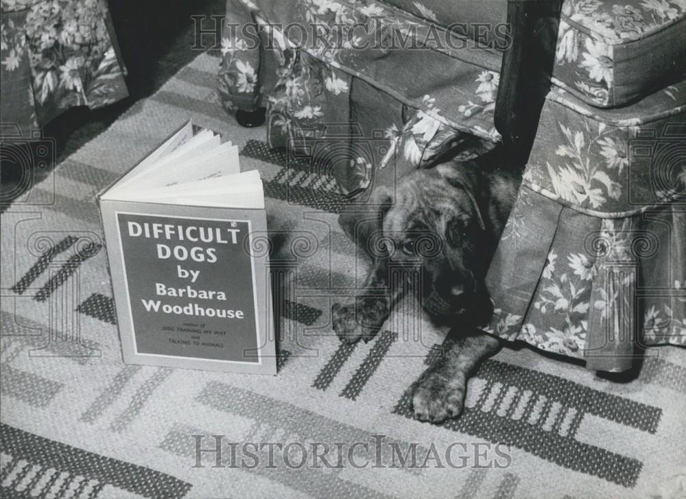 Press Photo Dog Under Chair Next To Book Difficult Dogs By Barbara Woodhouse - Historic Images