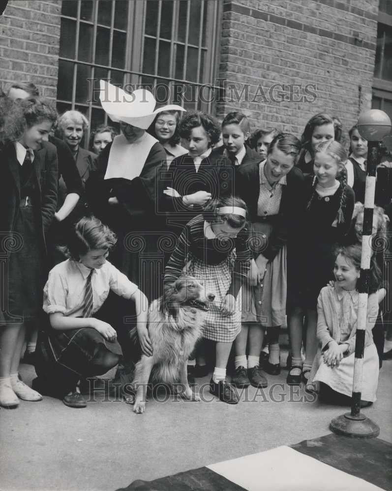 Press Photo Schoolgirls learn road Safety for Dogs - Historic Images