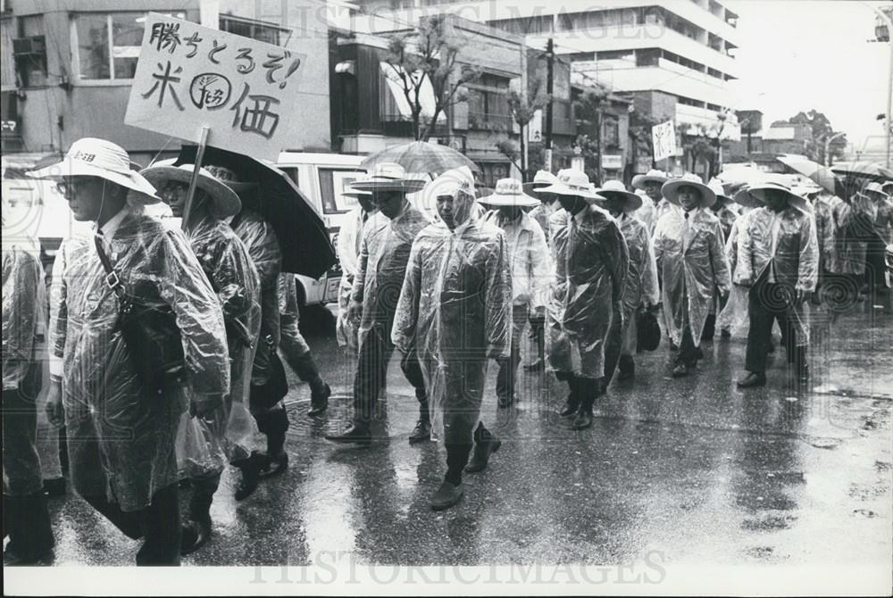 1974 Press Photo Japanese rice growers March through the streets of Tokyo - Historic Images