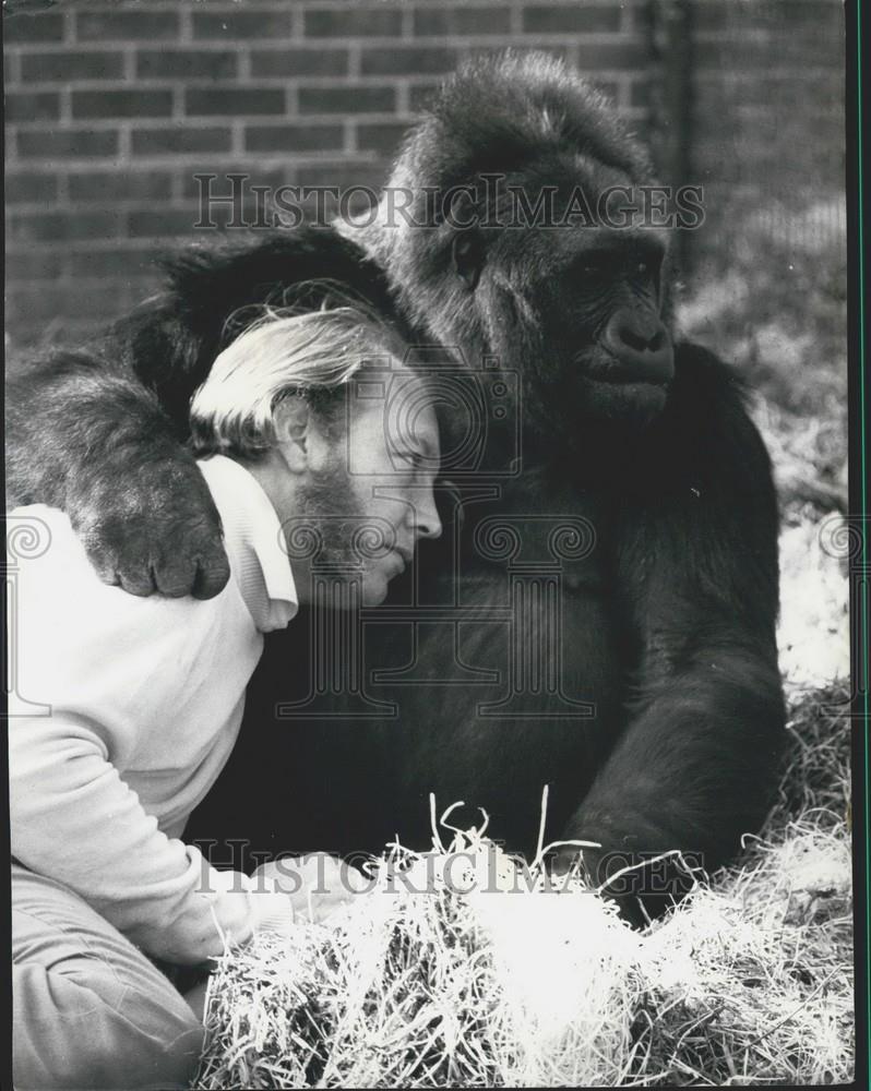 Press Photo John Aspinall  and his Gorilla - Historic Images