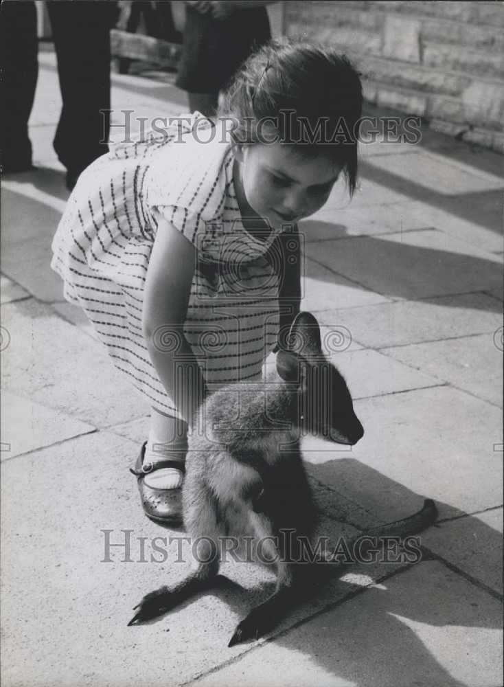 Press Photo Penny Dog Playing With Children - Historic Images