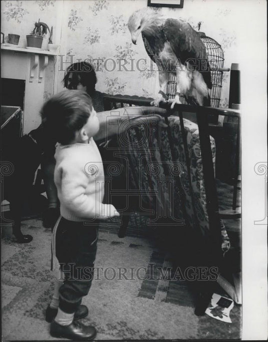 Press Photo Simon Little Boy Wears Glove Training Eagle In His Home - Historic Images