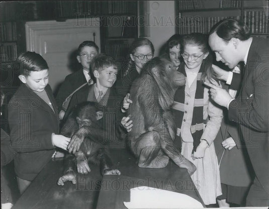 1958 Press Photo Dr. Desmond Morris &  Orangutang & some children - Historic Images