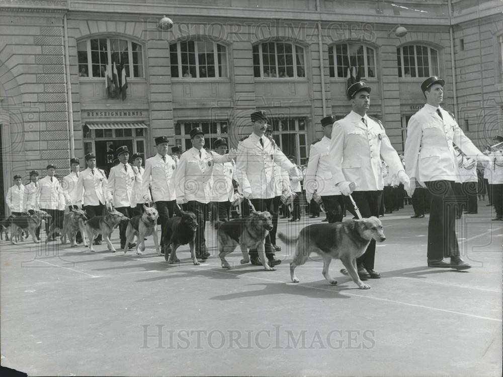 1967 Press Photo Police Dogs On Parade Christian Fouchet Visiting Paris Police - Historic Images