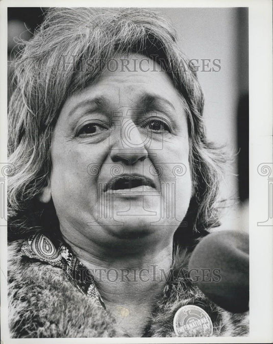 1975 Press Photo Betty Friedan Women's Movement Leader At Int'l Womens Day Rally - Historic Images