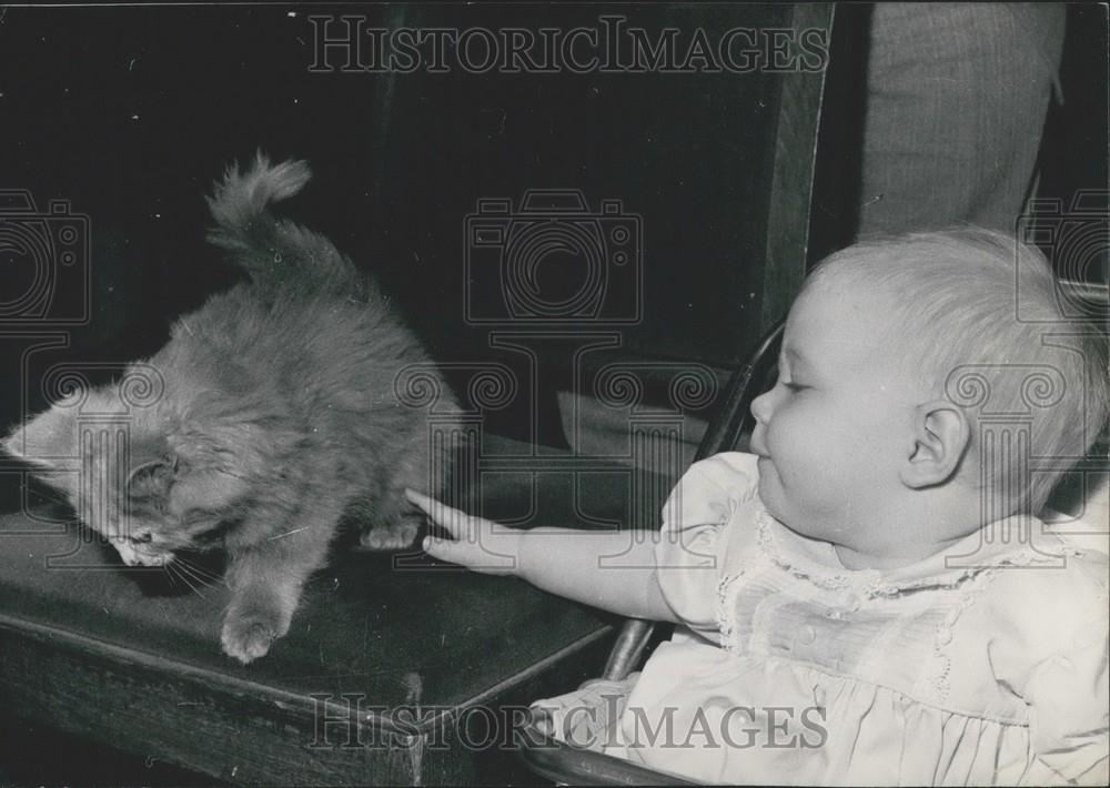 1960 Press Photo Baby With Kitten At Cat Show - Historic Images