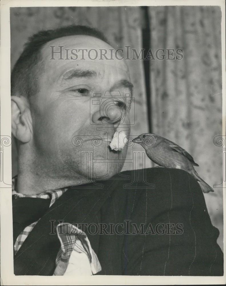 Press Photo Edwin Philips Delafield Road  Charlton Feeding His Sparrow By Mouth - Historic Images