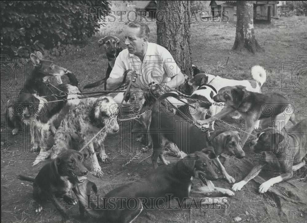 1964 Press Photo Bernard Cuff Dog Rescuer With a Few of His 160 Dogs - Historic Images