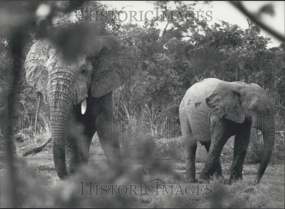 Press Photo Togo &amp; Franz Weber Foundation Reach Agreement on National Park - Historic Images