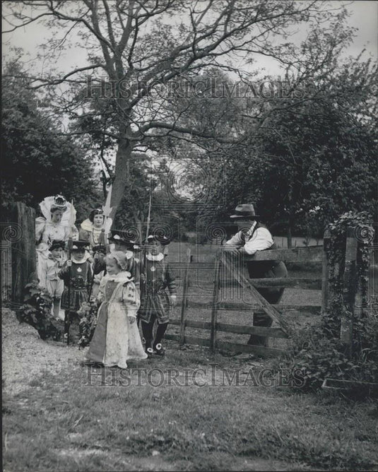 Press Photo Cattle Get Preview of Villages's Coronation on Tableau. - Historic Images