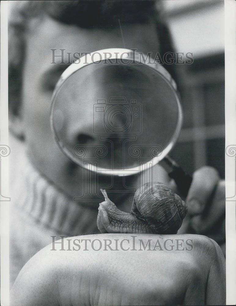 Press Photo High Speed Snails - Historic Images